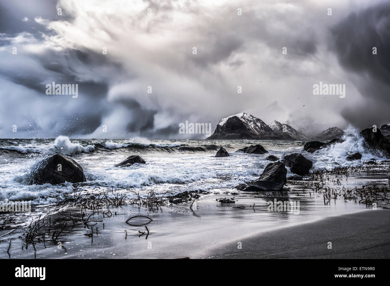 Blizzard, Myrland, Islas Lofoten, Noruega Foto de stock