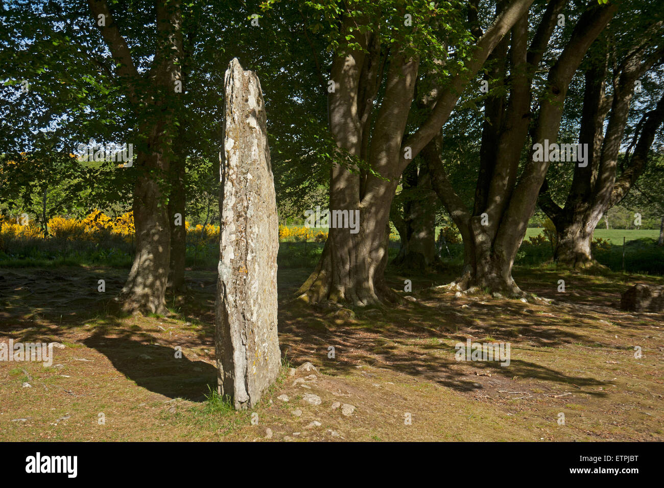 Bien Conservada Scottish yacimiento neolítico de sepulcros de corredor