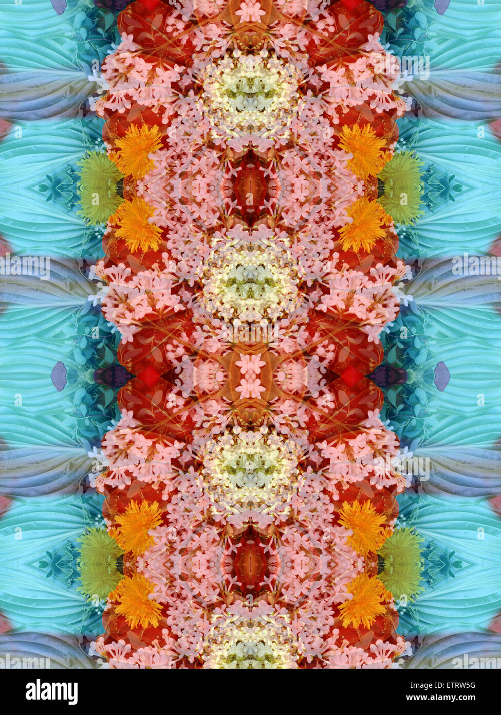Montage simétrica de las flores Foto de stock