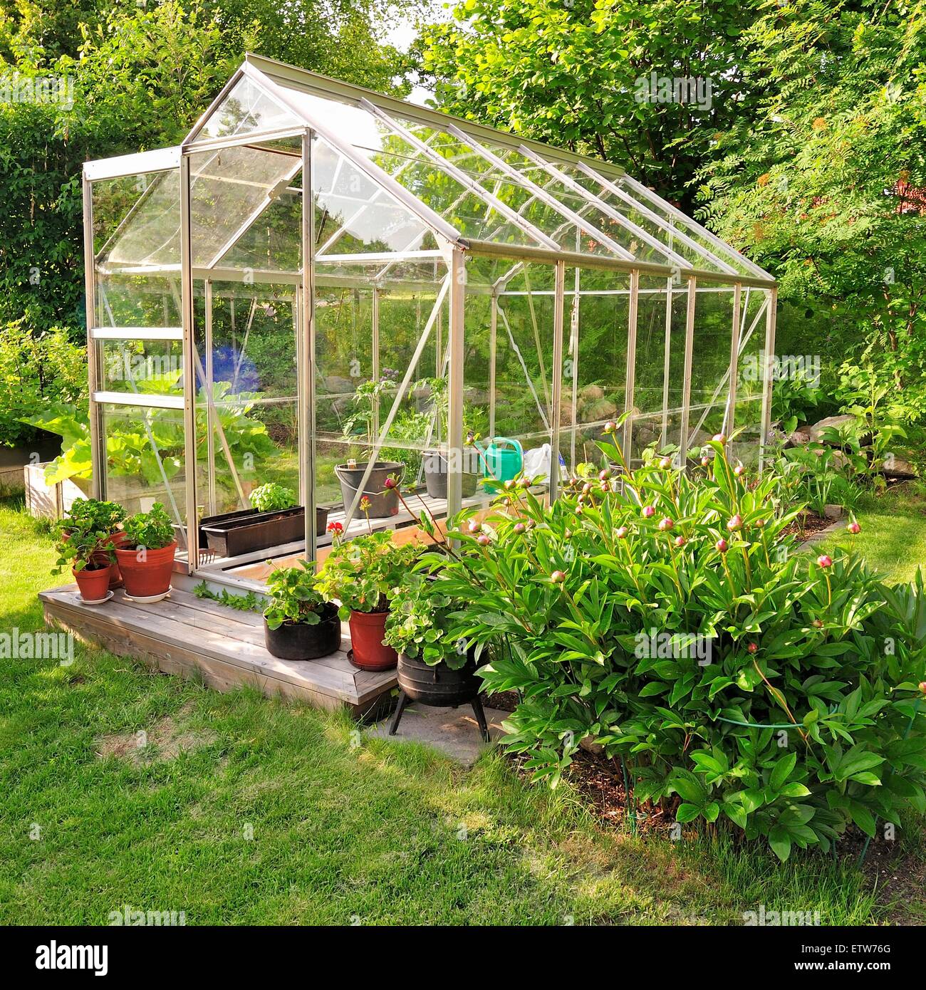 Ver en invernadero pequeño en un jardín trasero Fotografía de stock - Alamy