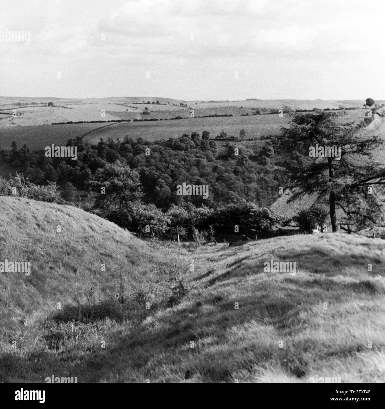 Offa's Dyke es un gran terraplén lineal que sigue aproximadamente la actual frontera entre Inglaterra y Gales. Un buen tramo de dique en Mainstone Hill. Circa 1950. Foto de stock