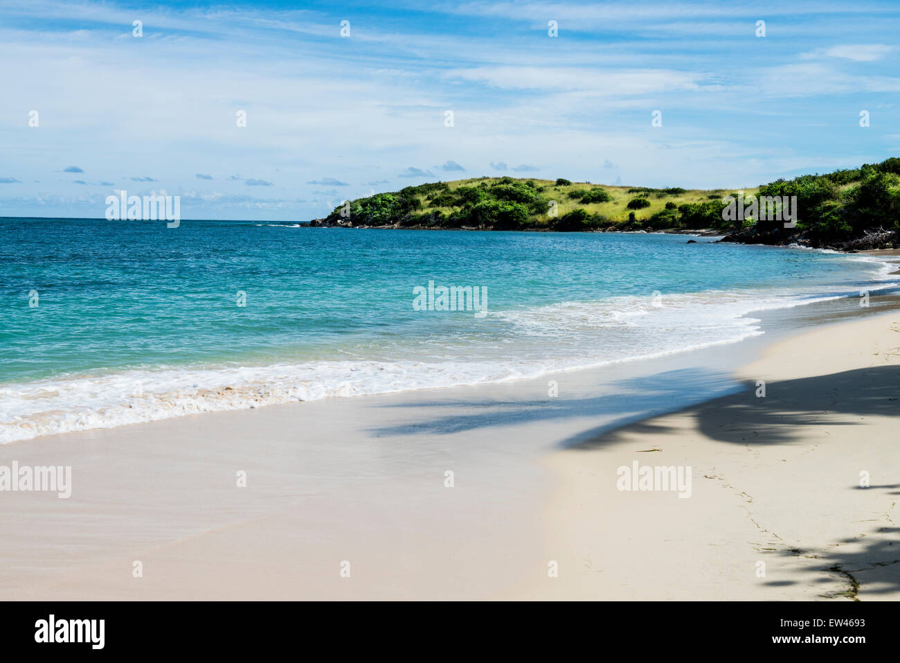 Una vista de la playa en el extremo este de Saint Croix, Islas Vírgenes de EE.UU., mostrando la sombra de una palmera en la playa. Foto de stock