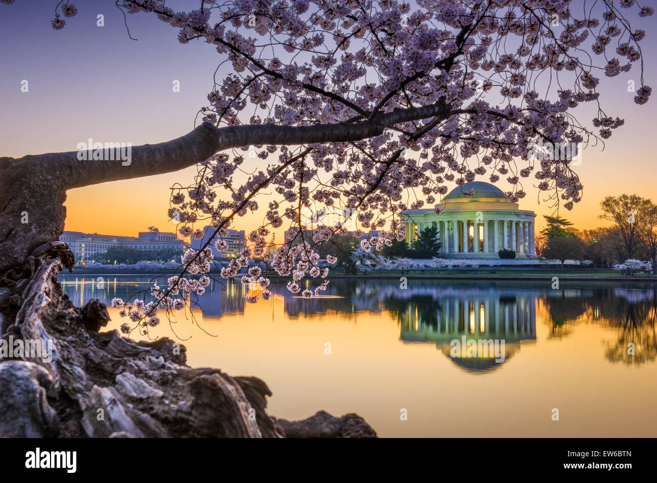 Washington, DC, en el Jefferson Memorial durante la primavera. Foto de stock
