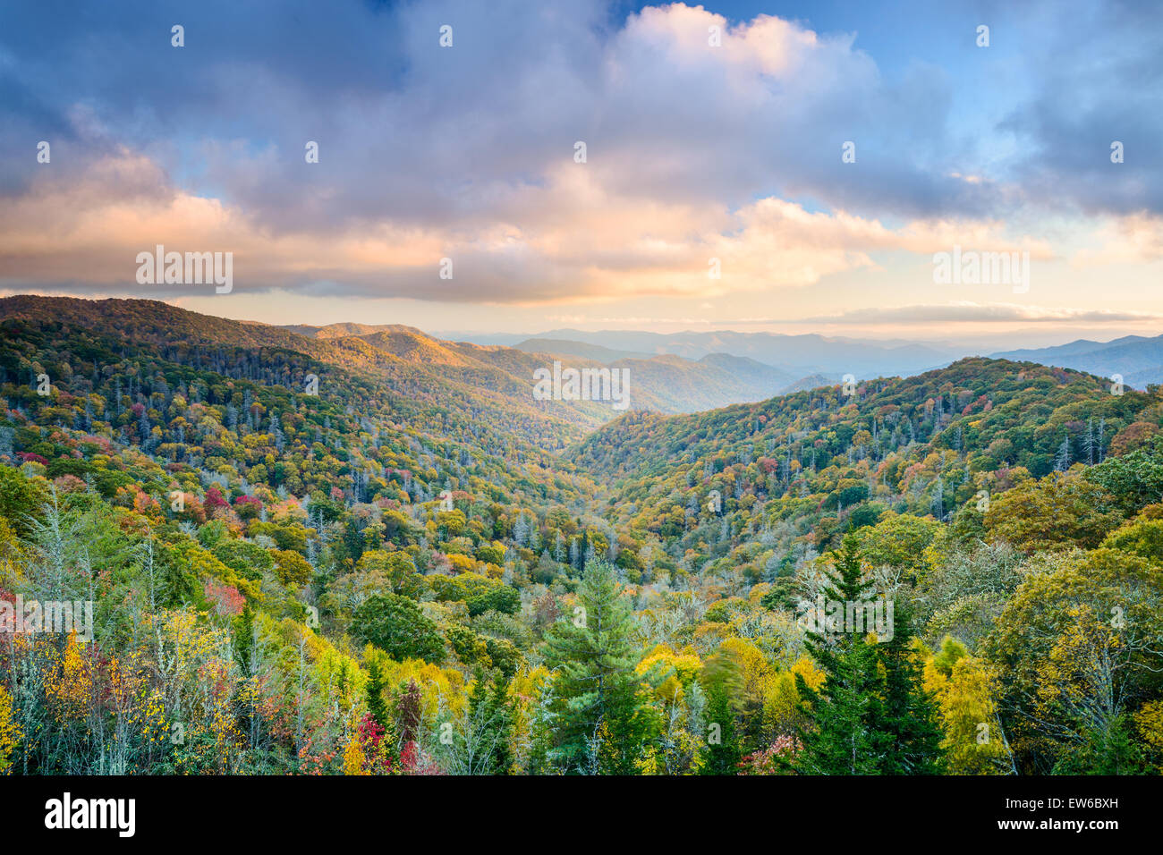 Smoky Mountains National Park, Tennessee, EE.UU. paisaje otoñal. Foto de stock