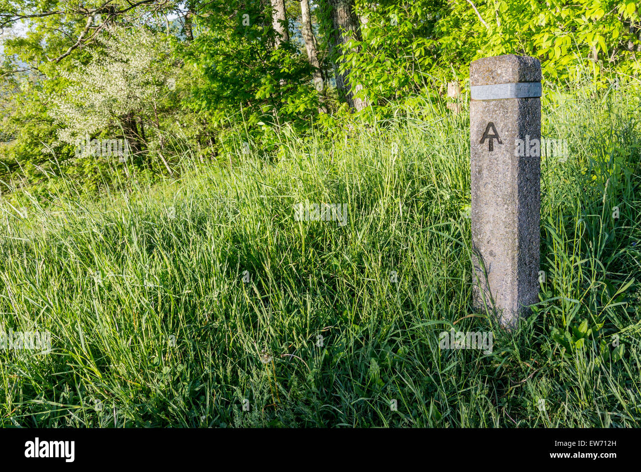 El Appalachian Trail es abierto con estos marcadores de piedra en cada cruce con Skyline Drive a través del Parque Nacional de Shenandoah Foto de stock