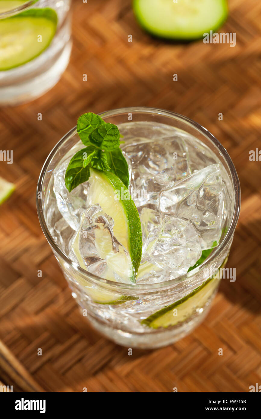 El hielo de agua refrescante de pepino con limón y menta Foto de stock