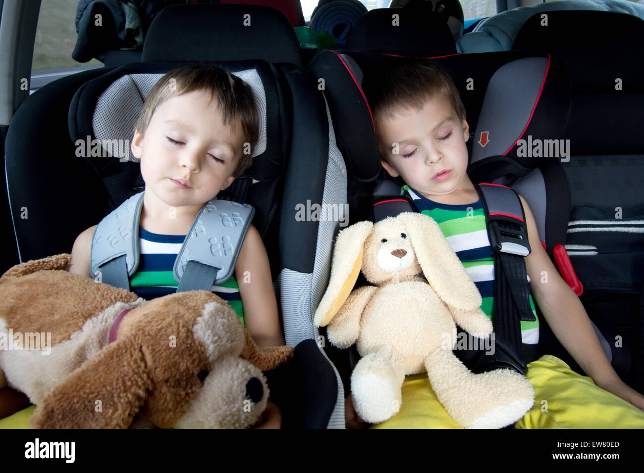 Dos chicos dulces, durmiendo en el coche con los osos de peluche después de un largo viaje Foto de stock