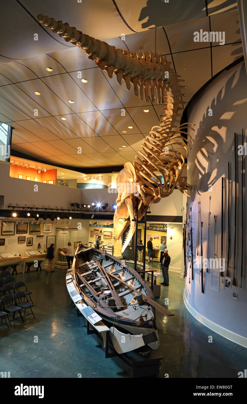 Esqueleto de ballena esperma ballenera, sala de conferencias, Nantucket Whaling Museum, Nantucket, Massachusetts Foto de stock