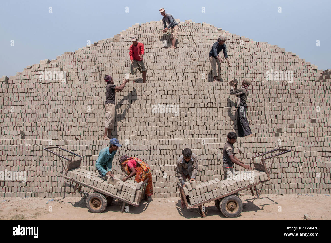 Dhaka, Bangladesh. 8 de Mar, 2015. Marzo 08, 2015 - Dhaka, Bangladesh - trabajadores están abasteciendo de ladrillo crudo para procesar posteriormente.El mundo está experimentando una rápida urbanización y Bangladesh no es una excepción a esto. La rápida urbanización genera una demanda masiva de ladrillos como es uno de los ingredientes clave para construir una estructura de hormigón. Para responder a esta creciente necesidad, números de ladrillo haciendo campo han ido aumentando a un ritmo alarmante en Bangladesh. La mayoría de ellos tuvieron lugar en las tierras de cultivo que genera una reducción de la producción agrícola. Sabemos que la quema de carbón produce tremendas emissi Foto de stock