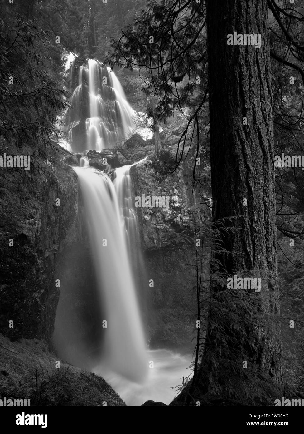 Falls Creek Falls, Washington. Foto de stock