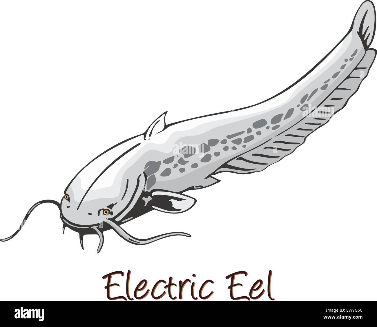 Anguila Electrica Ilustracion En Color Imagen Vector De Stock Alamy