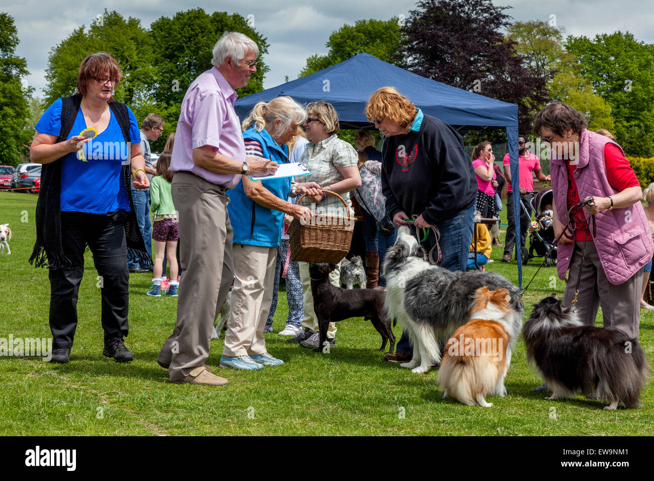 Dog Show, Fete, Maresfield Maresfield Village, Sussex, Reino Unido Foto de stock