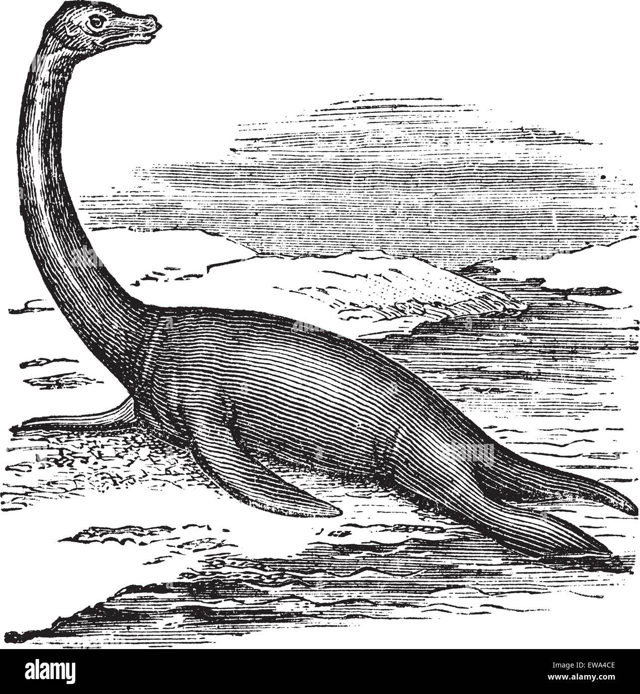 Plesiosaurio, vintage ilustración grabada. Trousset encyclopedia (1886 - 1891). Ilustración del Vector