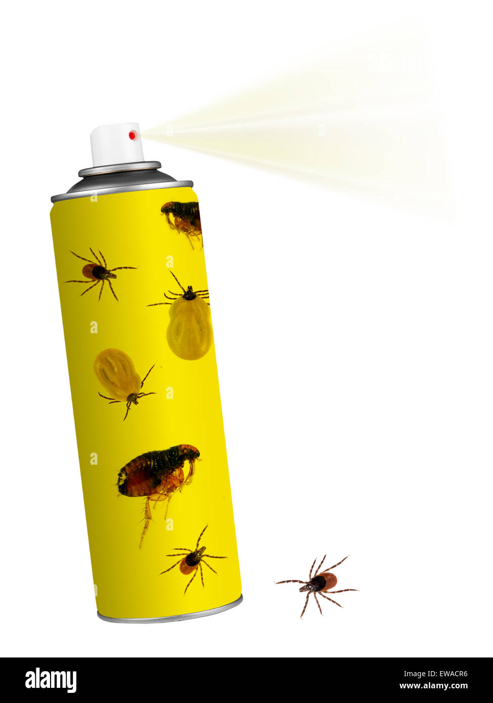 Insecticida contra las garrapatas, pulgas, Spray. Aislado en blanco  Fotografía de stock - Alamy