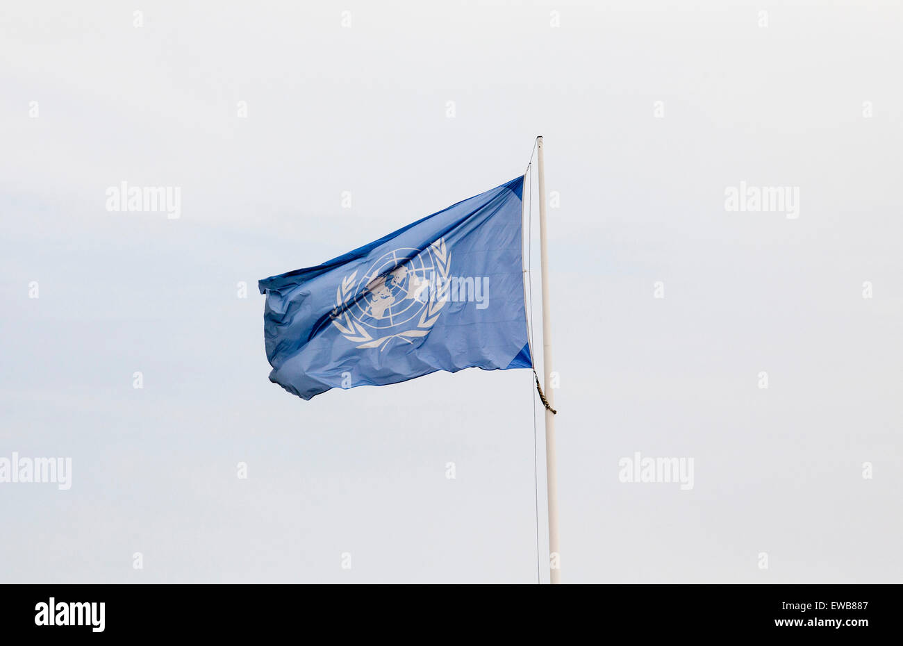 Bandera de la Organización de las Naciones Unidas Foto de stock