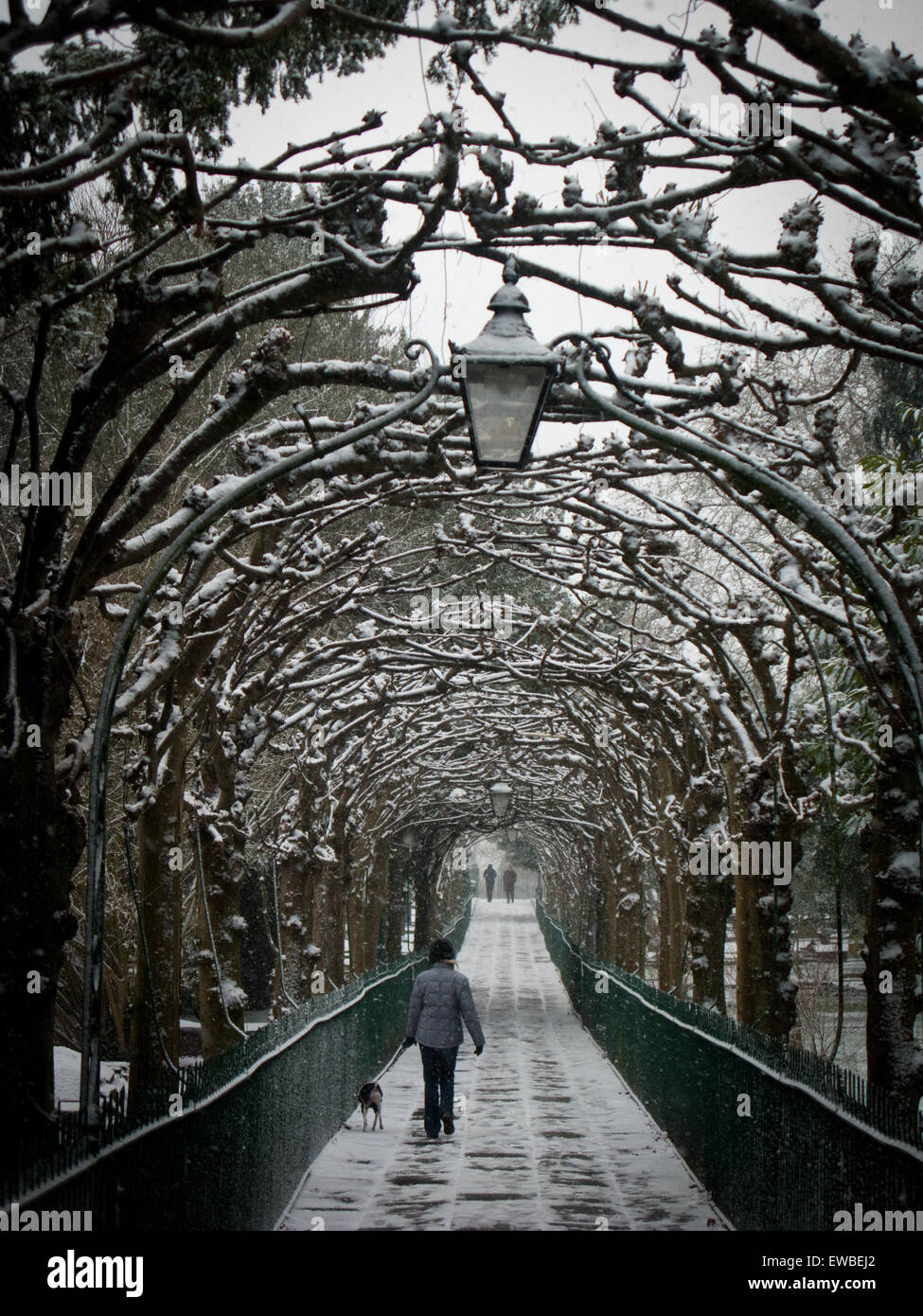 Caminar en forma de jaula, Clifton, Bristol en invierno con nieve Foto de stock
