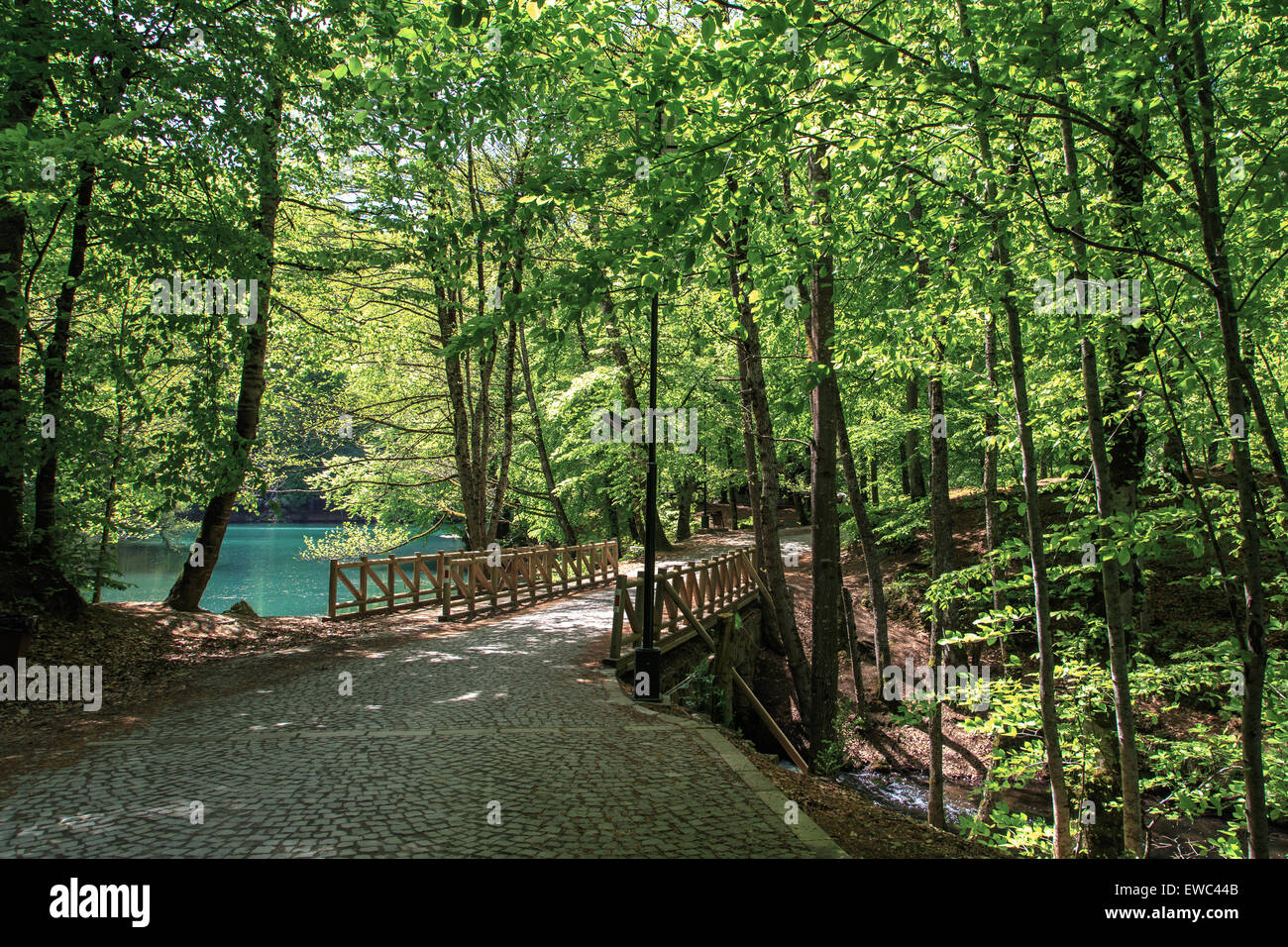 Vista lateral del puente de madera con camino de río o lago en el bosque. Foto de stock
