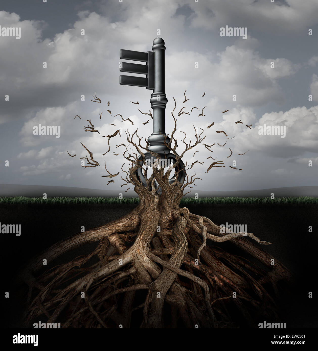 El concepto de la solución como una vieja clave genérica que salen de