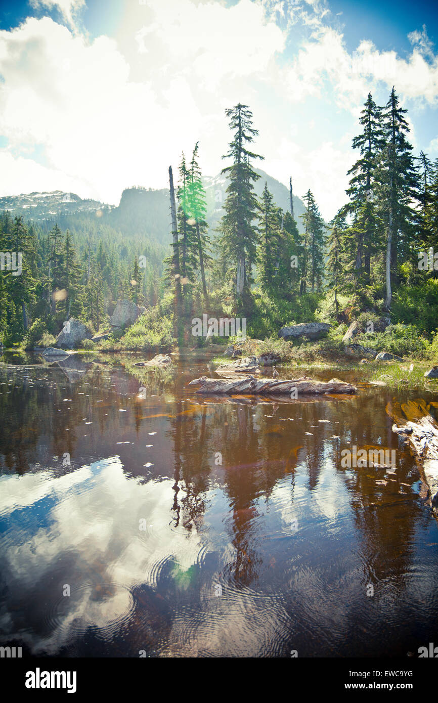 Vicario Lago, Vancouver, British Columbia, Canadá. Foto de stock