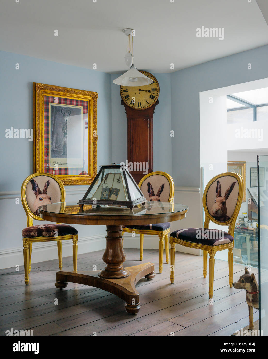 Tres sillas de comedor dorados cubiertos de Cory Visitorian hare cabeza  redonda de tela circular de mesa en la sala con reloj antiguo Fotografía de  stock - Alamy