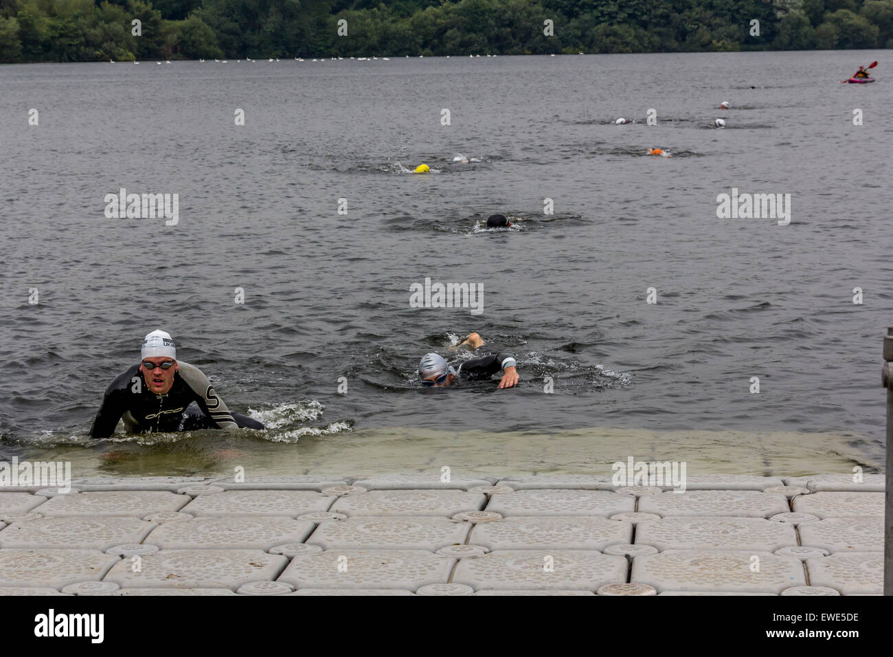 Los nadadores de aguas abiertas de completar un chapuzón. Foto de stock