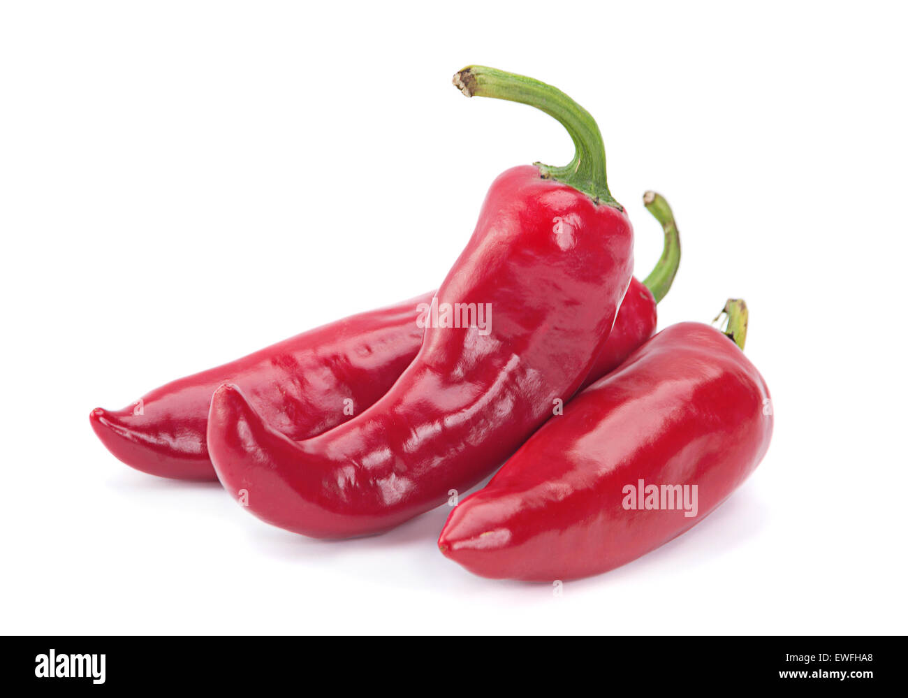 Red chili pepper closeup aislado en blanco Foto de stock