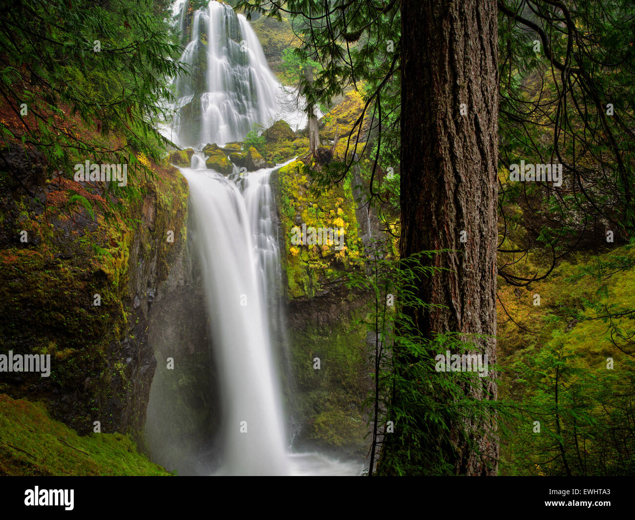 Falls Creek Falls, Washington. Foto de stock