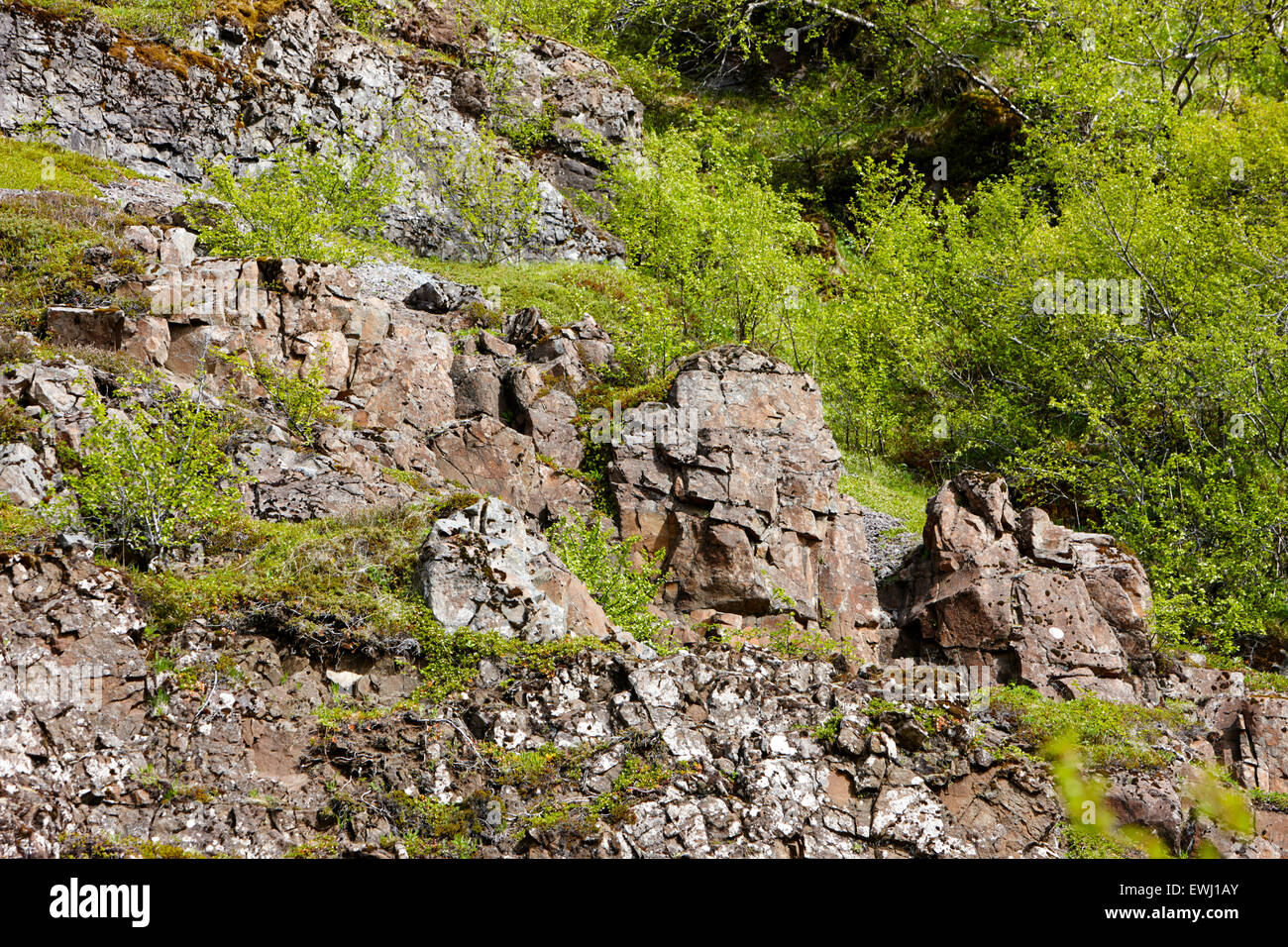 Estratos de roca volcánica y diques de basalto en Hillside Islandia Foto de stock
