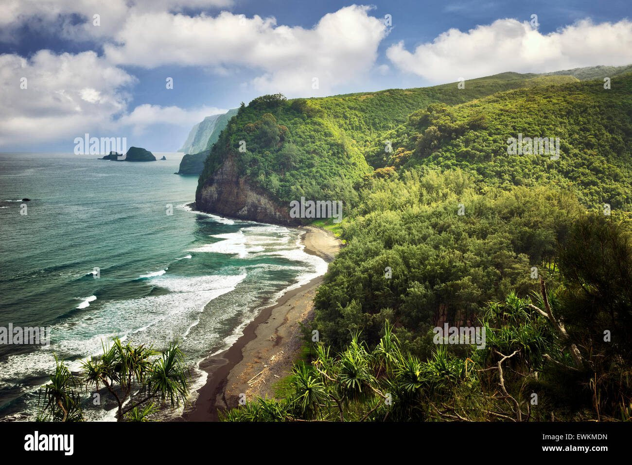 Litoral al valle de Pololu. Hawai, la Isla Grande. Foto de stock