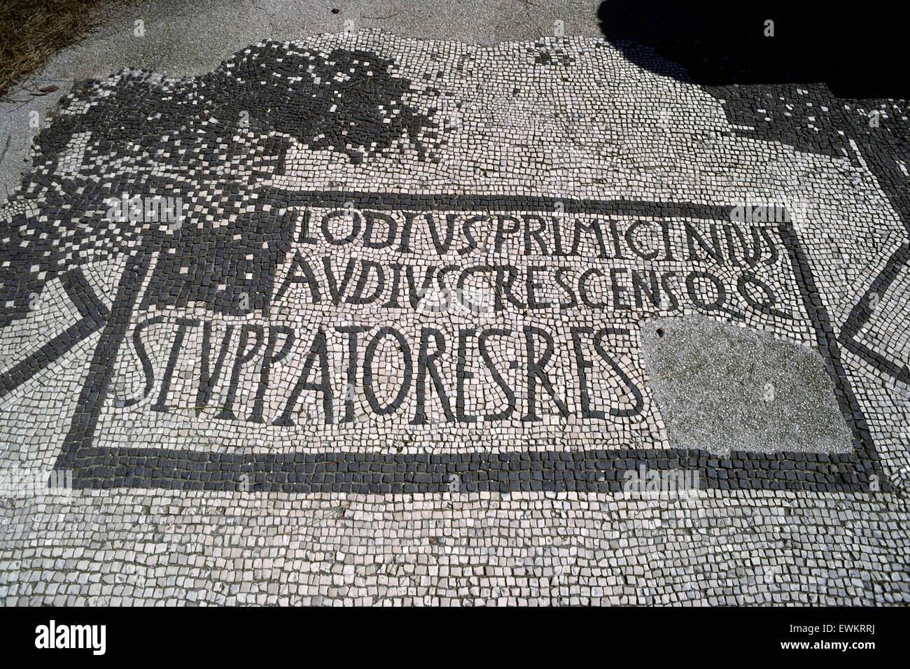 Italia, Roma, Ostia Antica, Piazzale delle corporazioni, mosaicos romanos Foto de stock