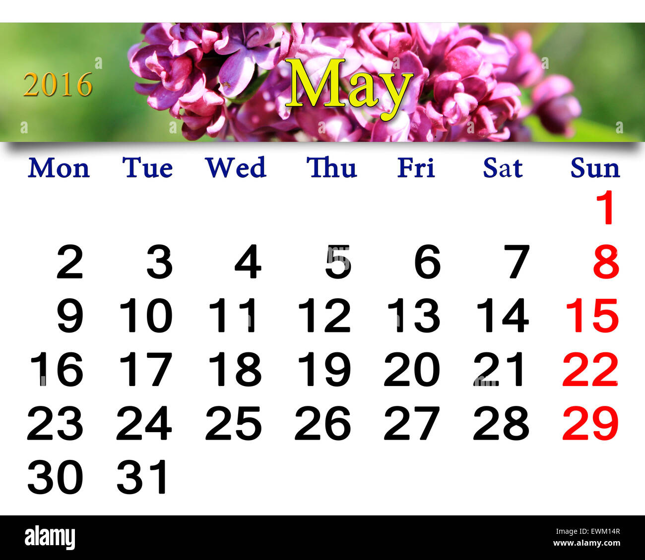 Calendario De Mayo De 2016 Con Flores De Color Lila Calendario Para 