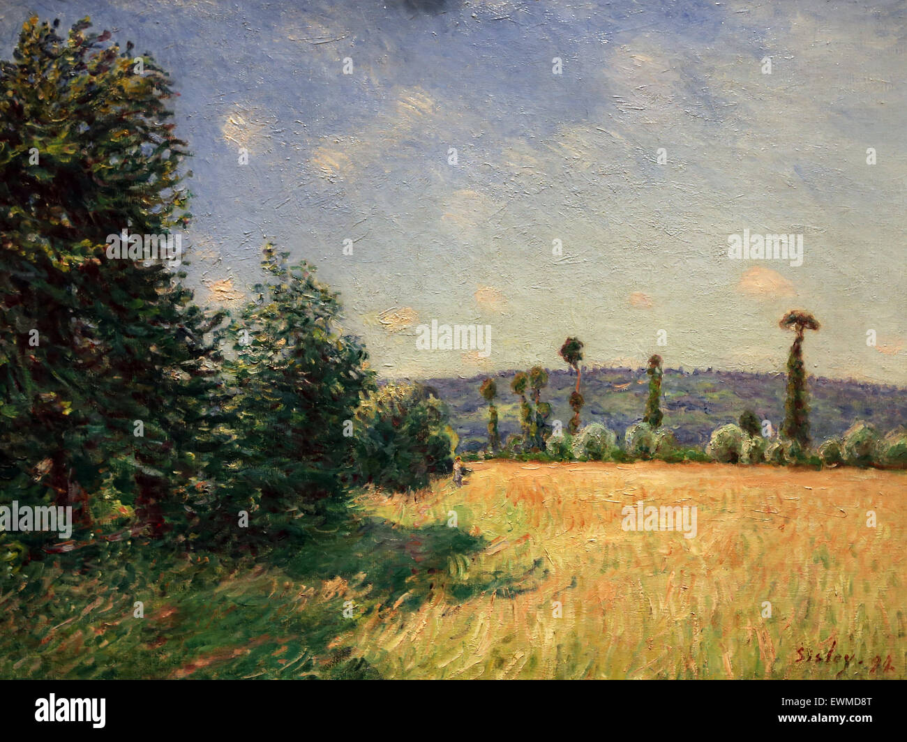 Alfred Sisley (1839-1899). El pintor francés. Sahurs Meadows en el sol de la mañana, 1894. Óleo sobre lienzo. Museo Metropolitano de Arte de Nueva York. Foto de stock