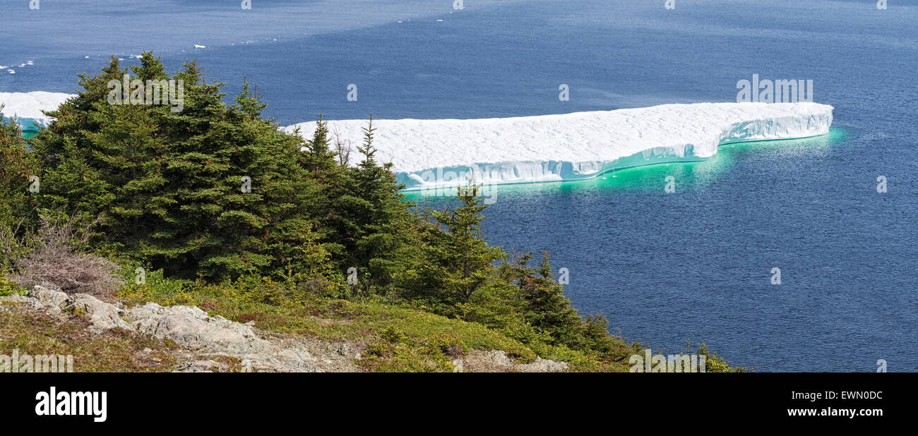 Iceberg flotando fuera de la costa cerca de Twillingate, Newfoundland, Canadá Foto de stock