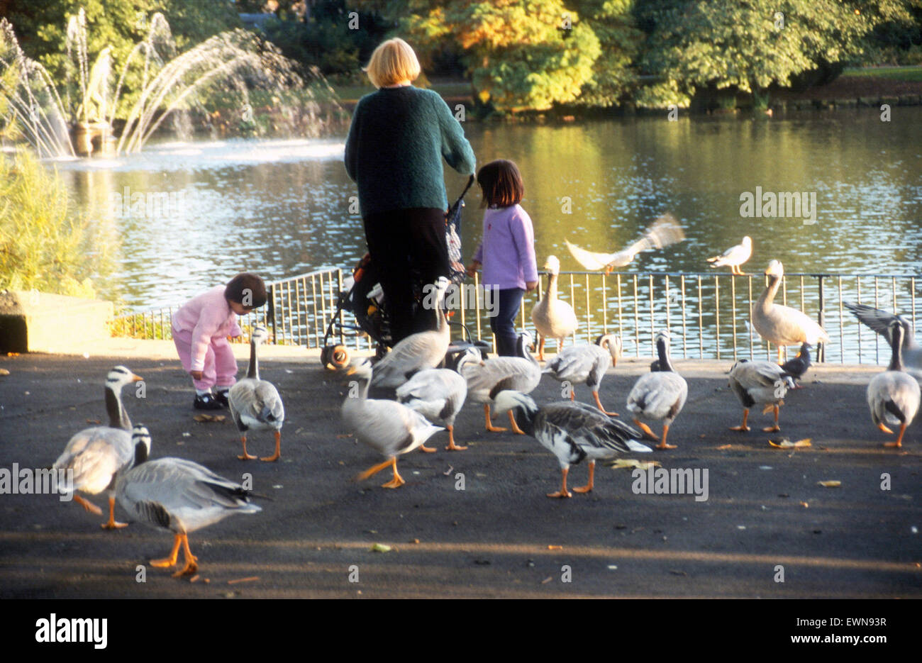 KEW Gardens de Londres, Reino Unido. Una mujer con niños admirar los Gansos Foto de stock