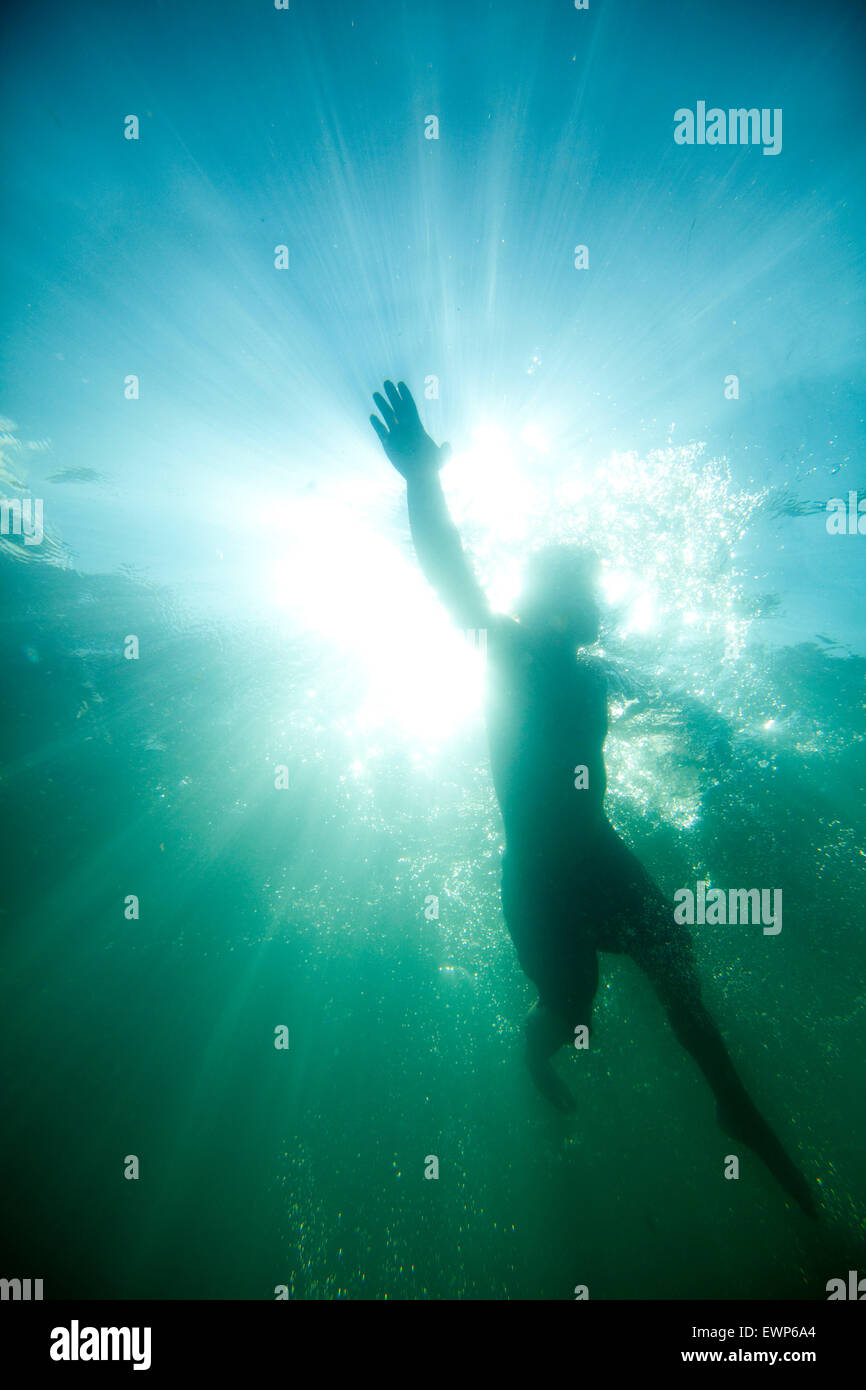Vista submarina mirando hacia arriba a un nadador en la superficie de un lago Foto de stock