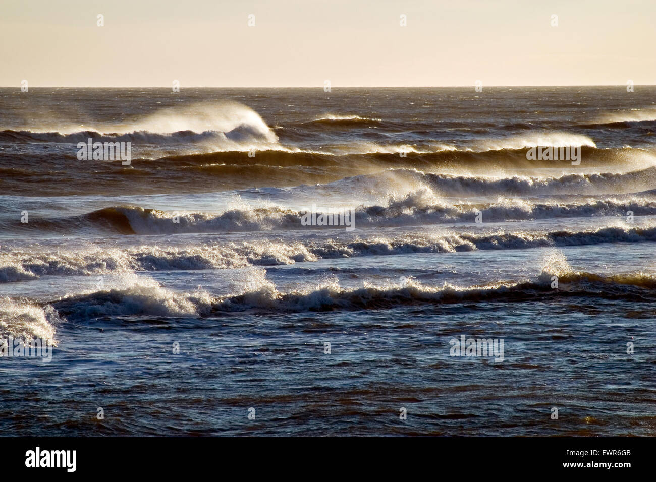 Las olas invernales fundido por 20 nudos off Sagaponack Playa en los Hamptons, NY. Foto de stock