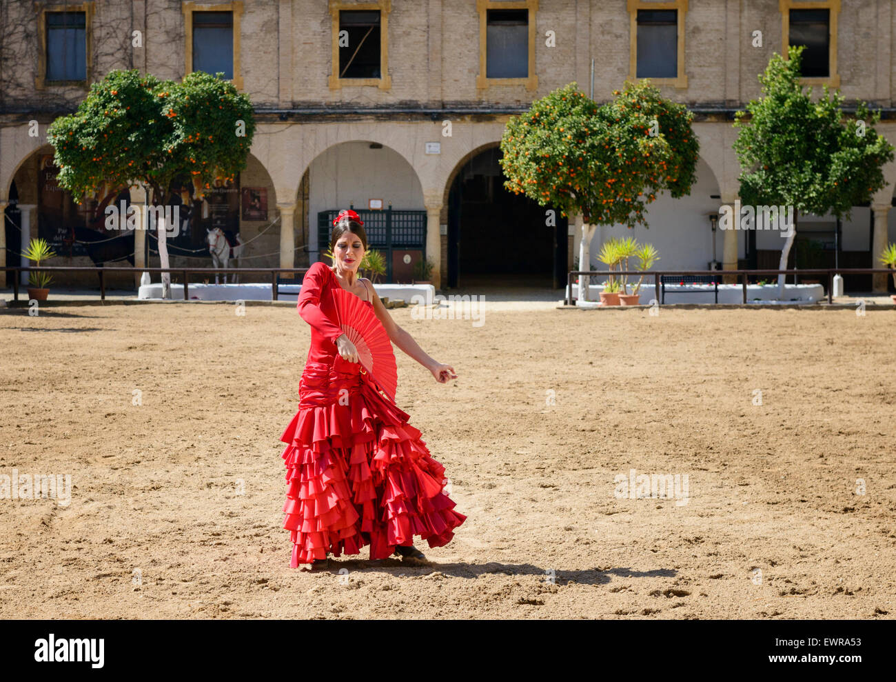 El bailarín de flamenco en establos reales Córdoba Foto de stock