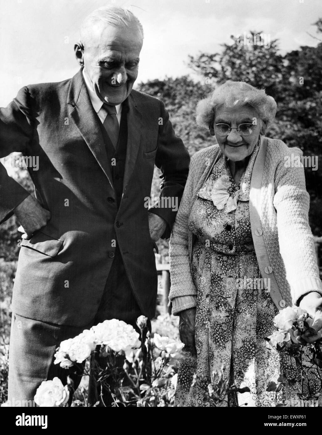 Lord y Lady Lawson en el jardín de su casa en el Beamish. El 27 de septiembre de 1962. Foto de stock