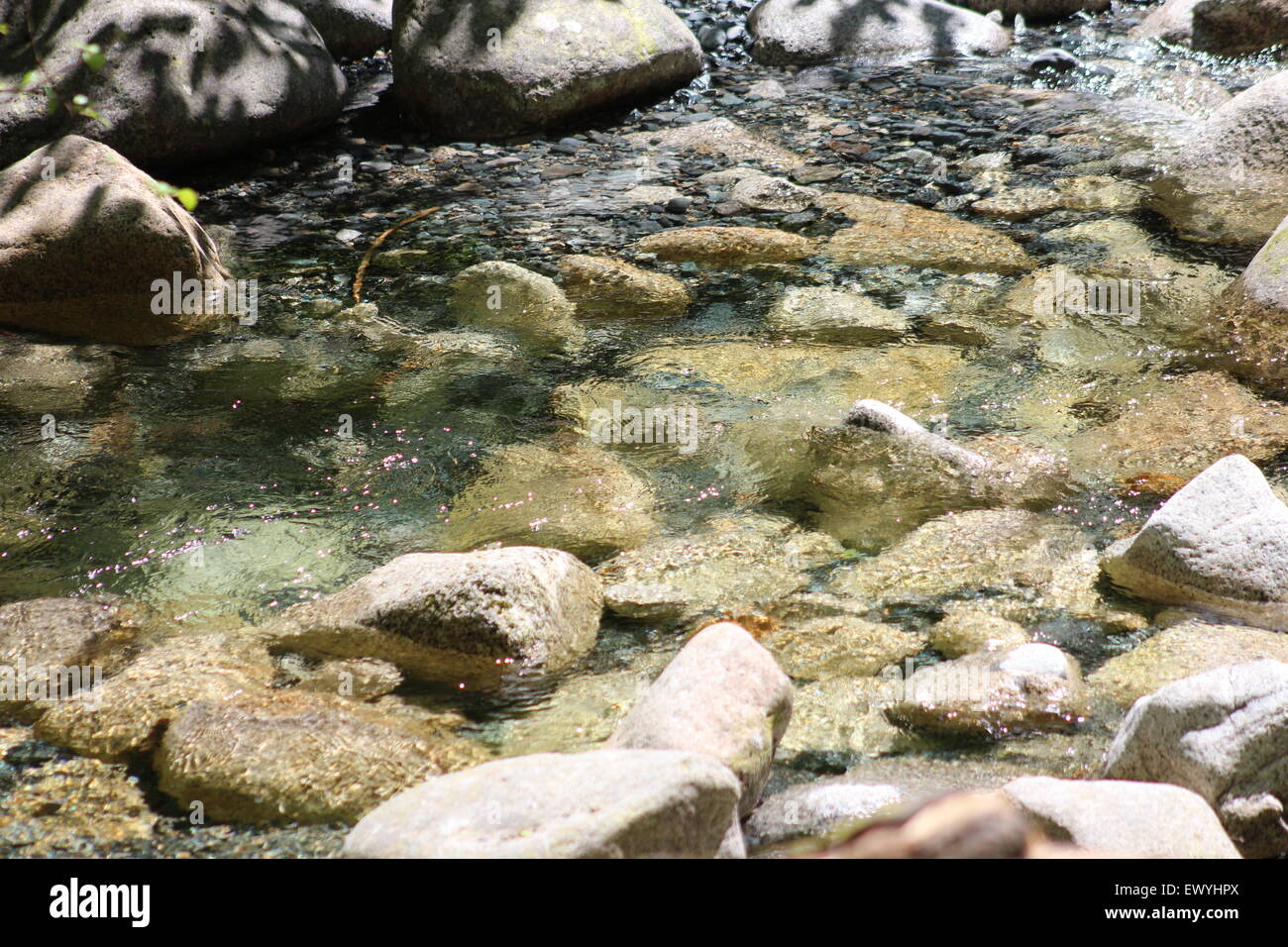 Arroyo de agua clara que se ejecuta a través de las rocas sumergidas de fondo ideal o papel de pared Foto de stock