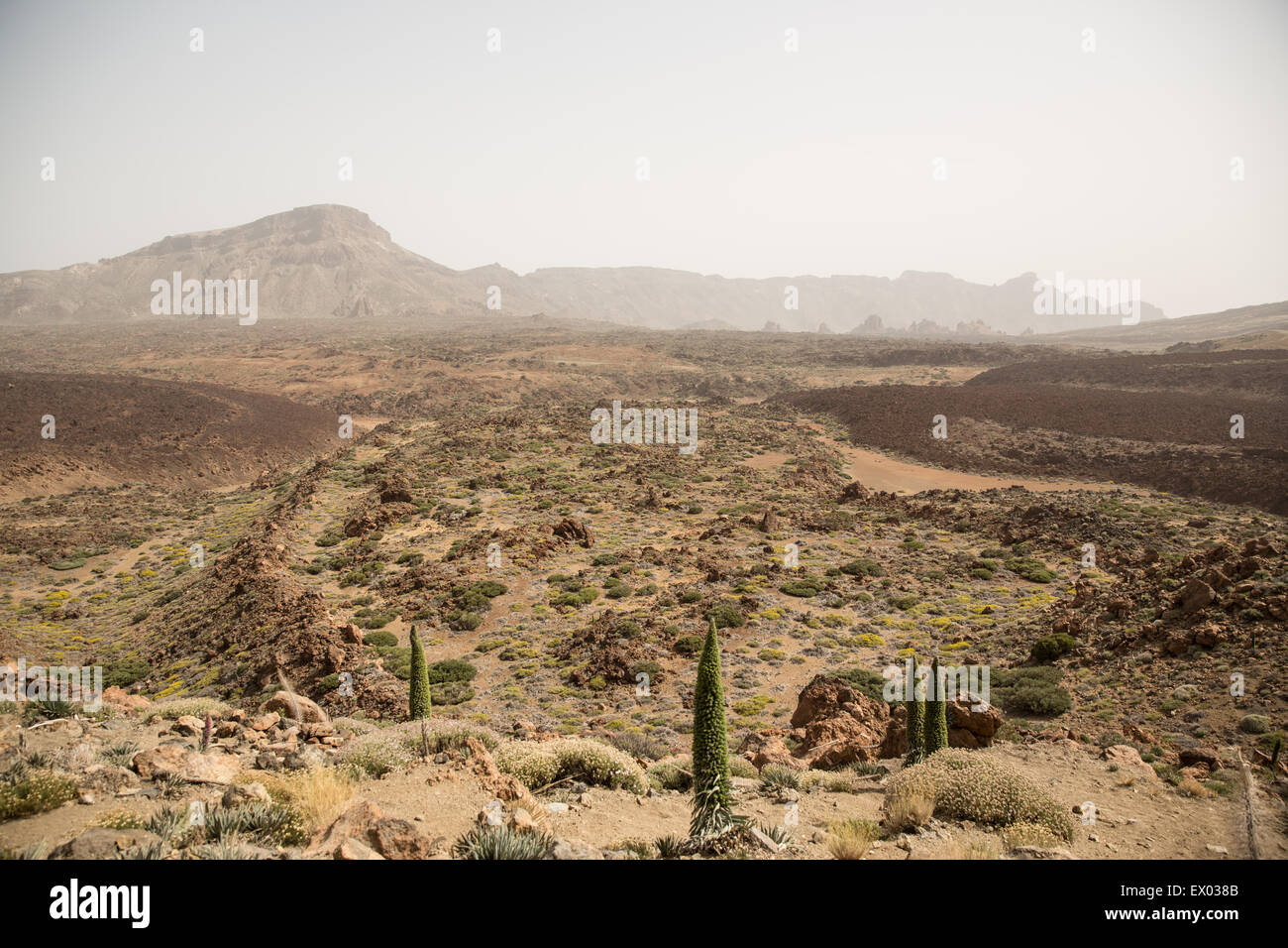 El paisaje del Parque Nacional del Teide, Tenerife, Islas Canarias, España Foto de stock