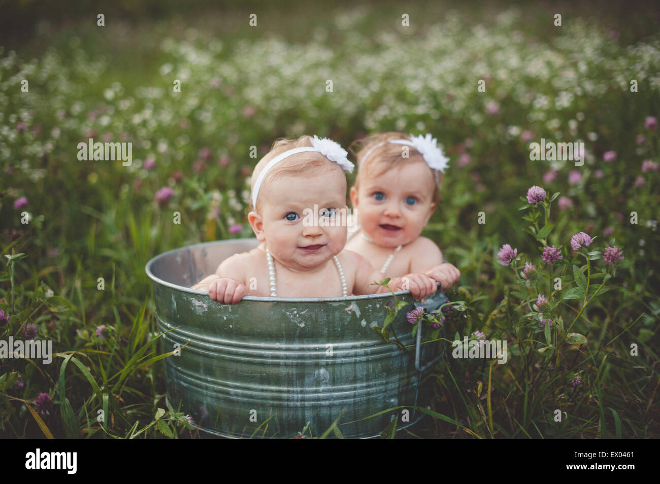 Retrato de bebé hermanas gemelas baño en una bañera de estaño en un prado  de flores silvestres Fotografía de stock - Alamy