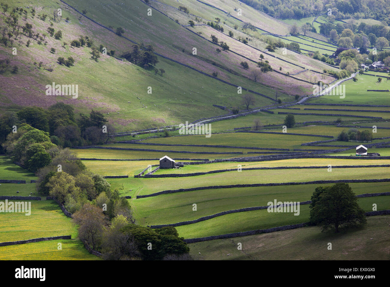 La primavera/verano de sol iluminando el valle de Littondale, cerca de la aldea, Littondale Litton, Yorkshire Dales, North Yorkshire Foto de stock