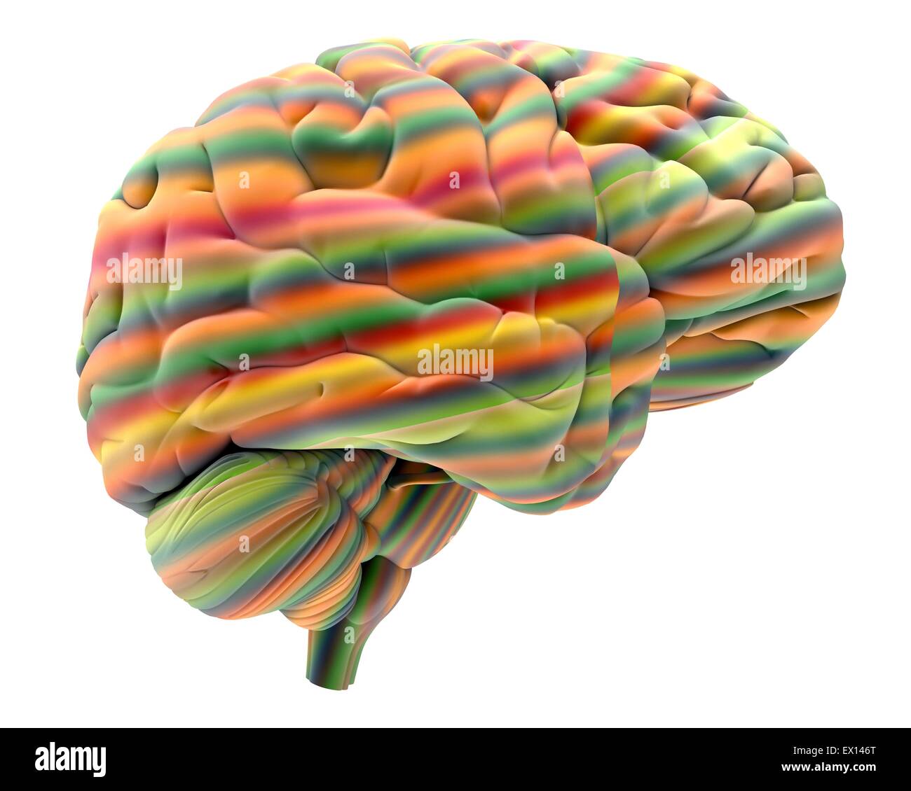 Cerebro computadora abstracta obra de arte de un cerebro humano en la parte frontal del cerebro es el cerebro derecho es el centro nervioso que controla Foto de stock