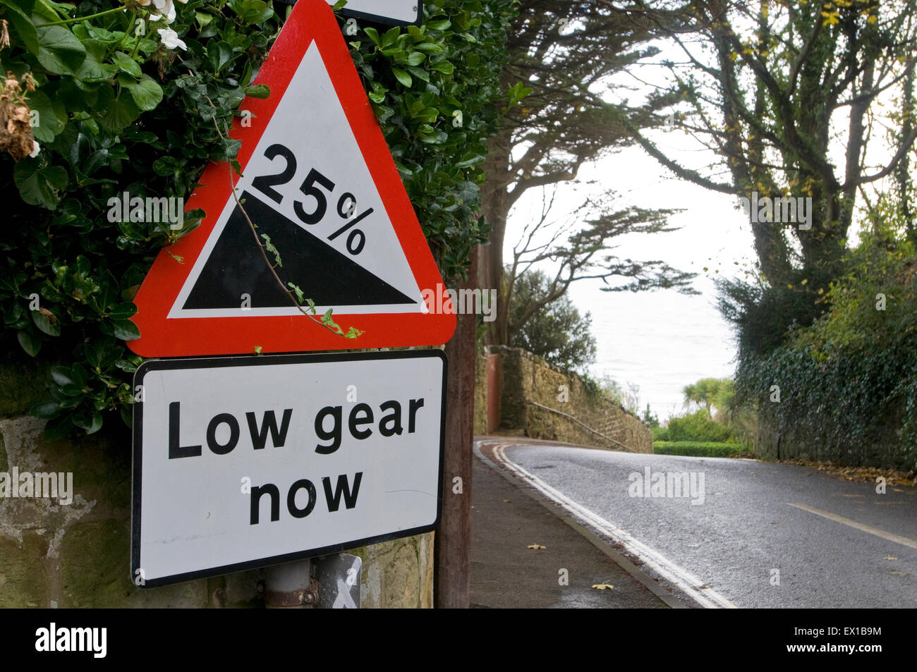 Señal de tráfico 25% colina empinada hacia abajo y ahora marcha baja el texto, la Isla de Wight, Inglaterra Europa Foto de stock