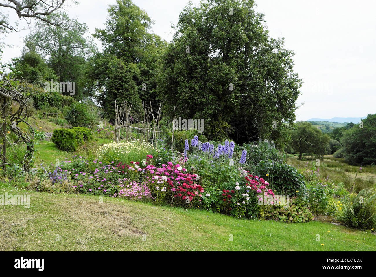 Vista al jardín de un país rural en la campiña en Carmarthenshire Gales UK KATHY DEWITT Foto de stock