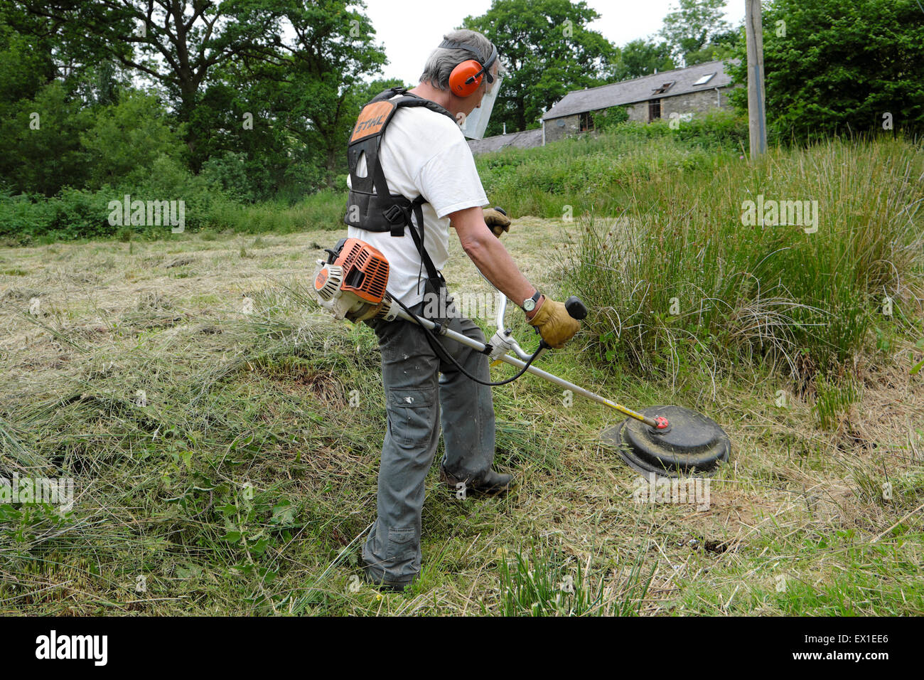 Un hombre que lleva equipo de seguridad y juncos de strimming en un jardín de campo en una pequeña explotación en Carmarthenshire Wales Reino Unido KATHY DEWITT Foto de stock