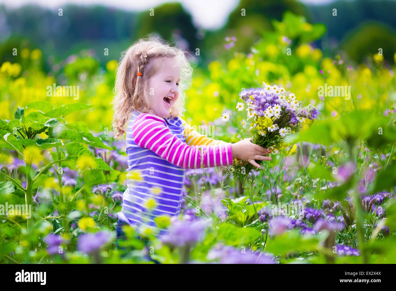 Niño recogiendo flores silvestres en el campo. Los niños juegan en una
