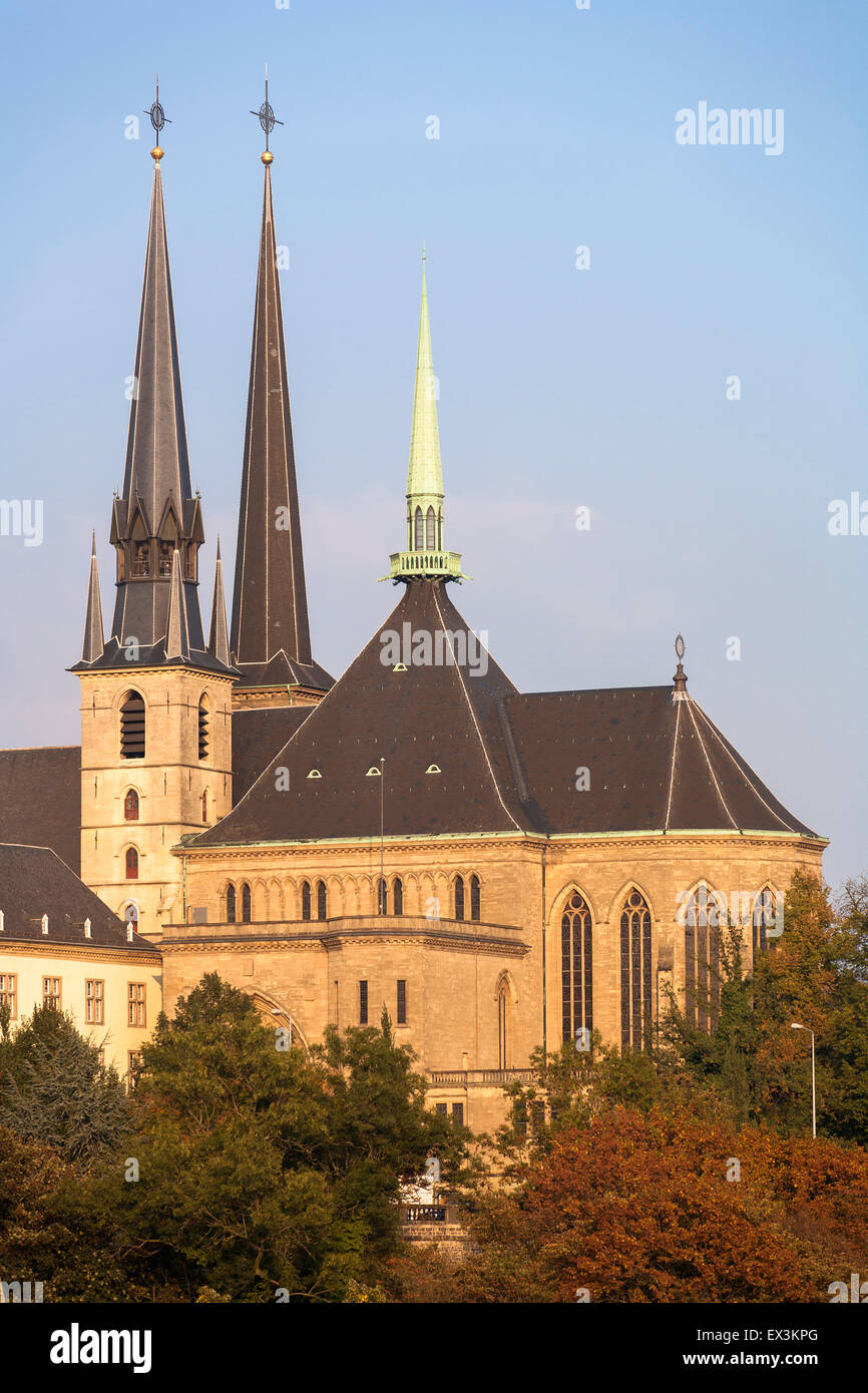 LUX, Luxemburgo, ciudad de Luxemburgo, vistas sobre el río Petrusse valle hasta el centro de la ciudad, con la catedral de Notre Dame. LU Foto de stock