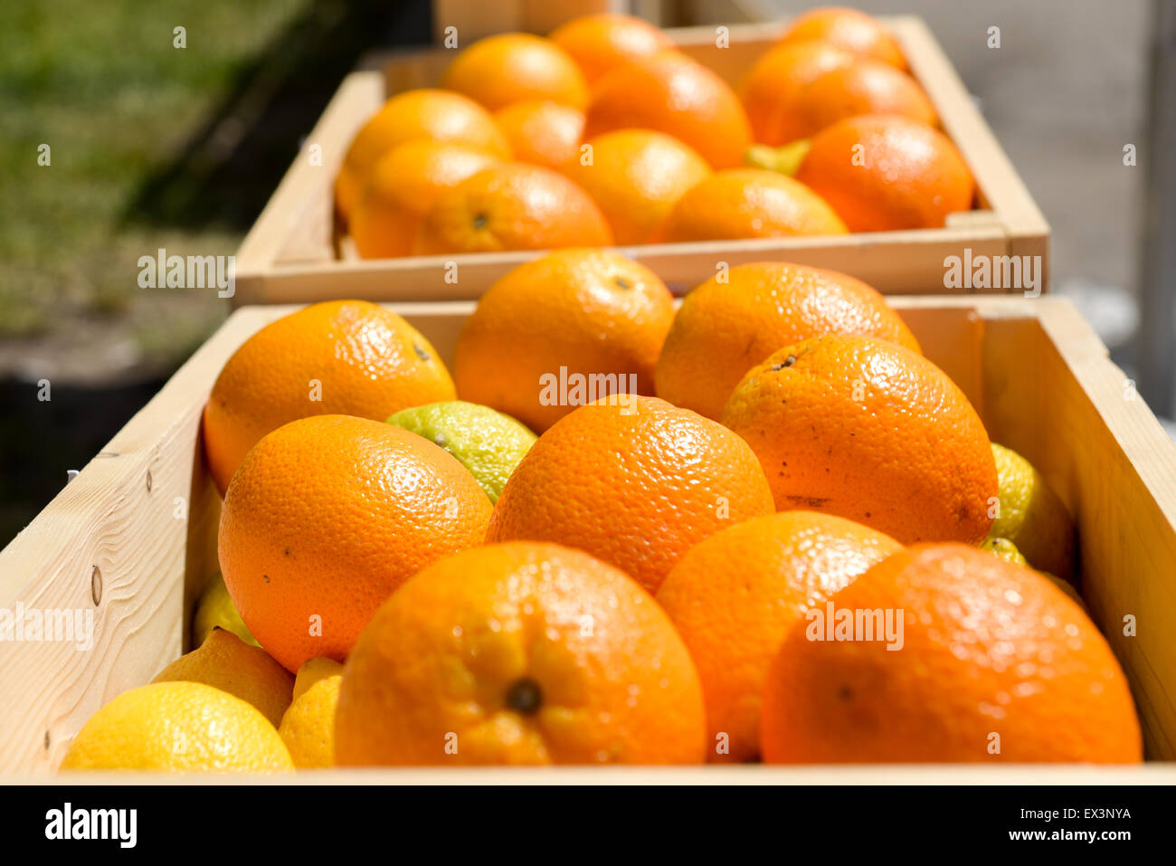 Montón de naranjas maduras en cajones de madera Fotografía de stock - Alamy