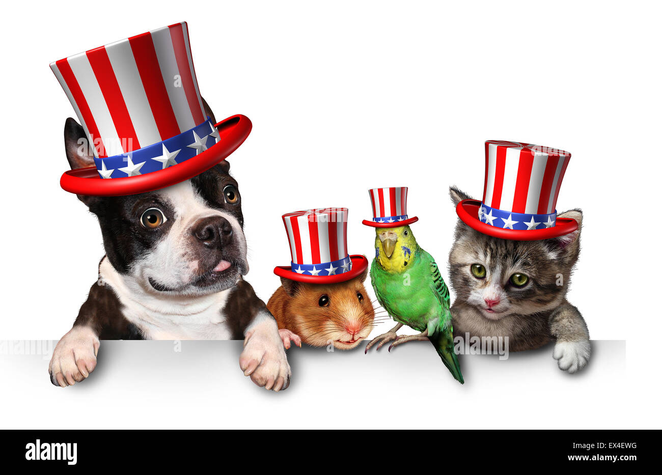 Mascotas celebrando el Día de la independencia de los Estados Unidos el 4 de julio de vacaciones con un perro gato pájaro y el hámster con sombreros con la american Stars & Stripes. Foto de stock
